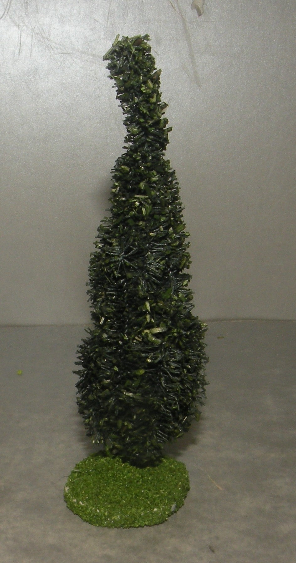 Cypress Didier , 4 Cm