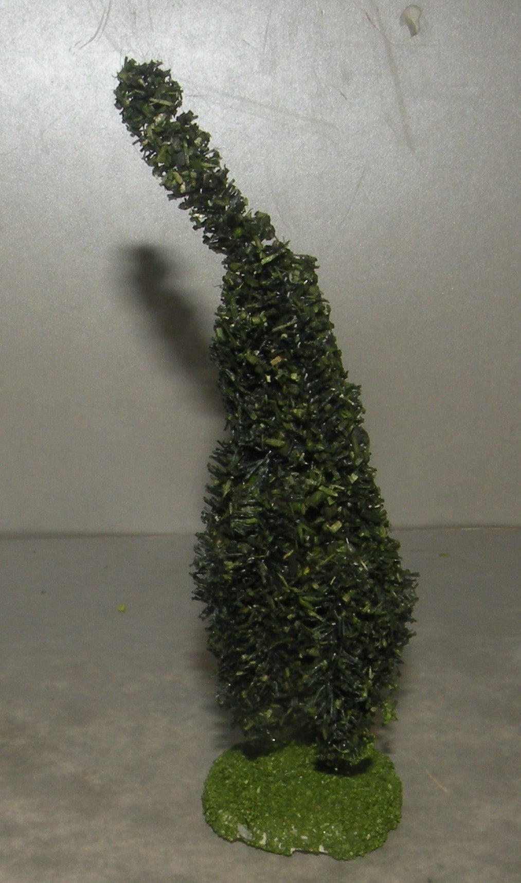 Cypress Didier , 4 Cm