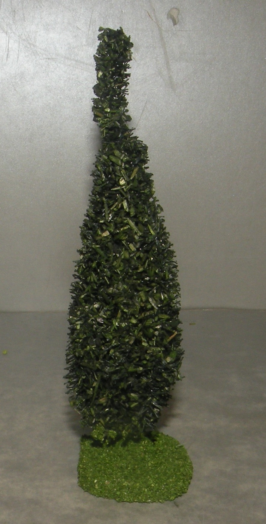 Cypress Didier , 4 Cm