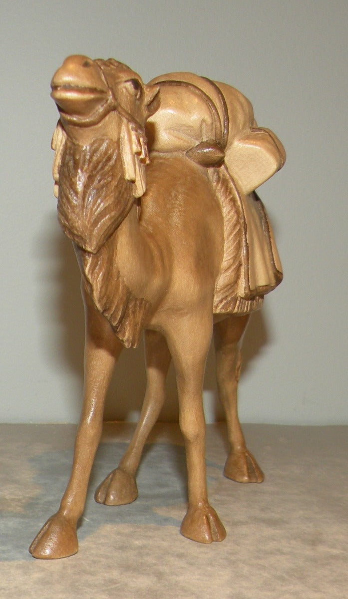 Camel 24020 , Rustic ZF Finish
