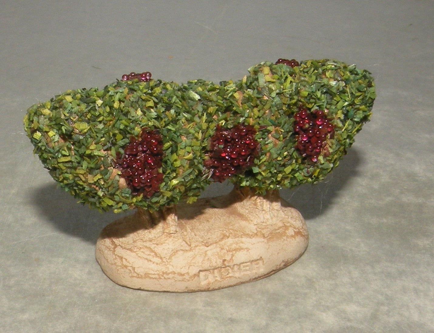 Grapevine , Didier 4 Cm