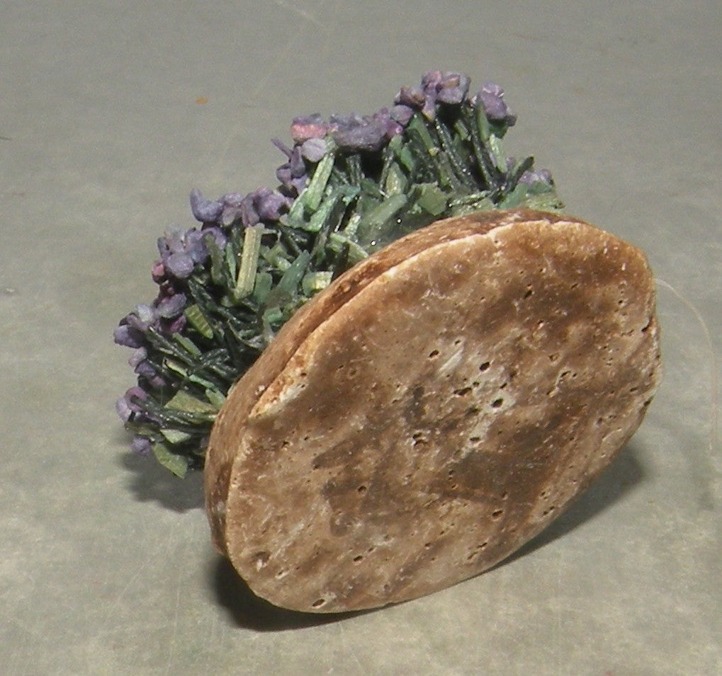 Foot of Lavender , Didier 4 Cm