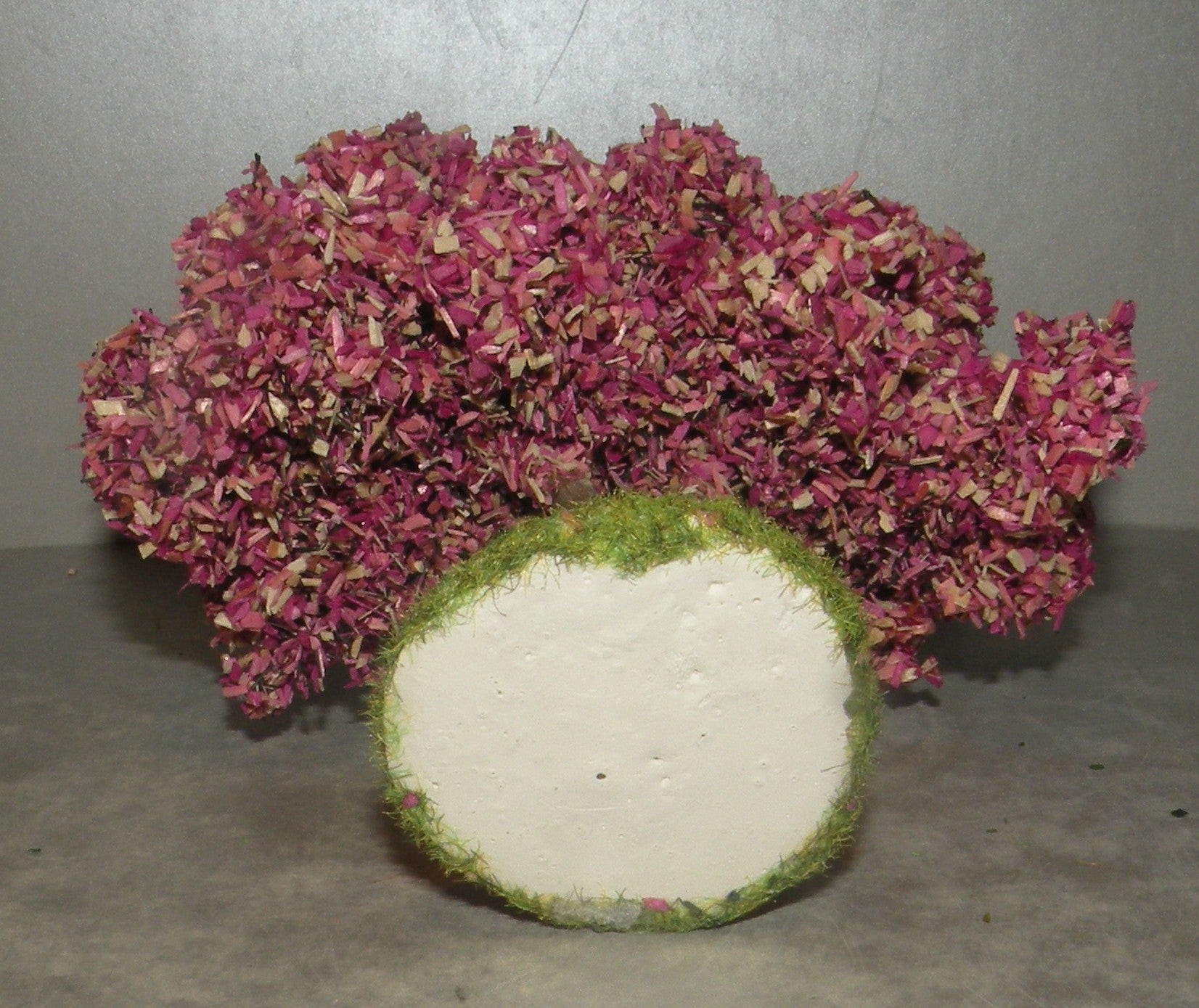 Almond Tree in Flowers  Didier 4 Cm