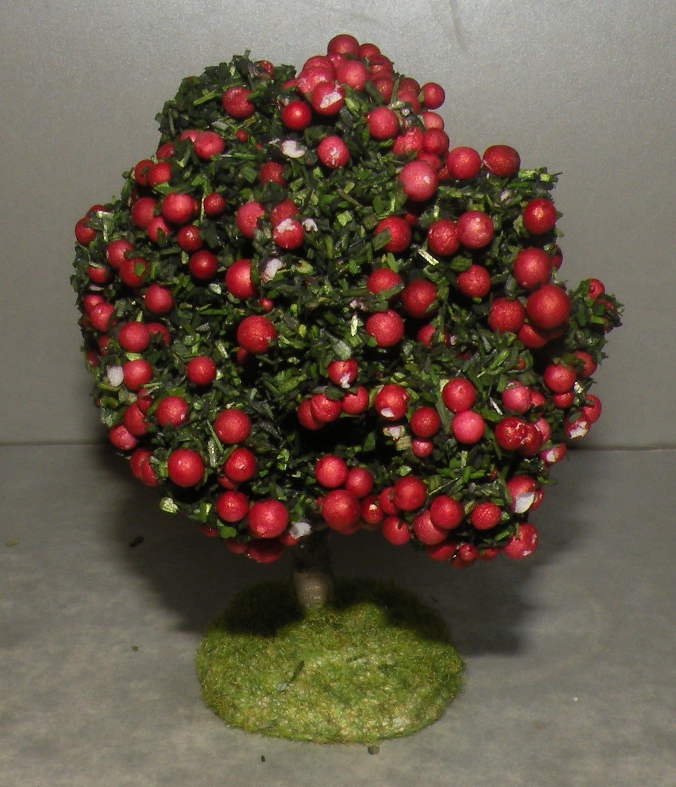 Apple Tree , Didier 6-7 Cm