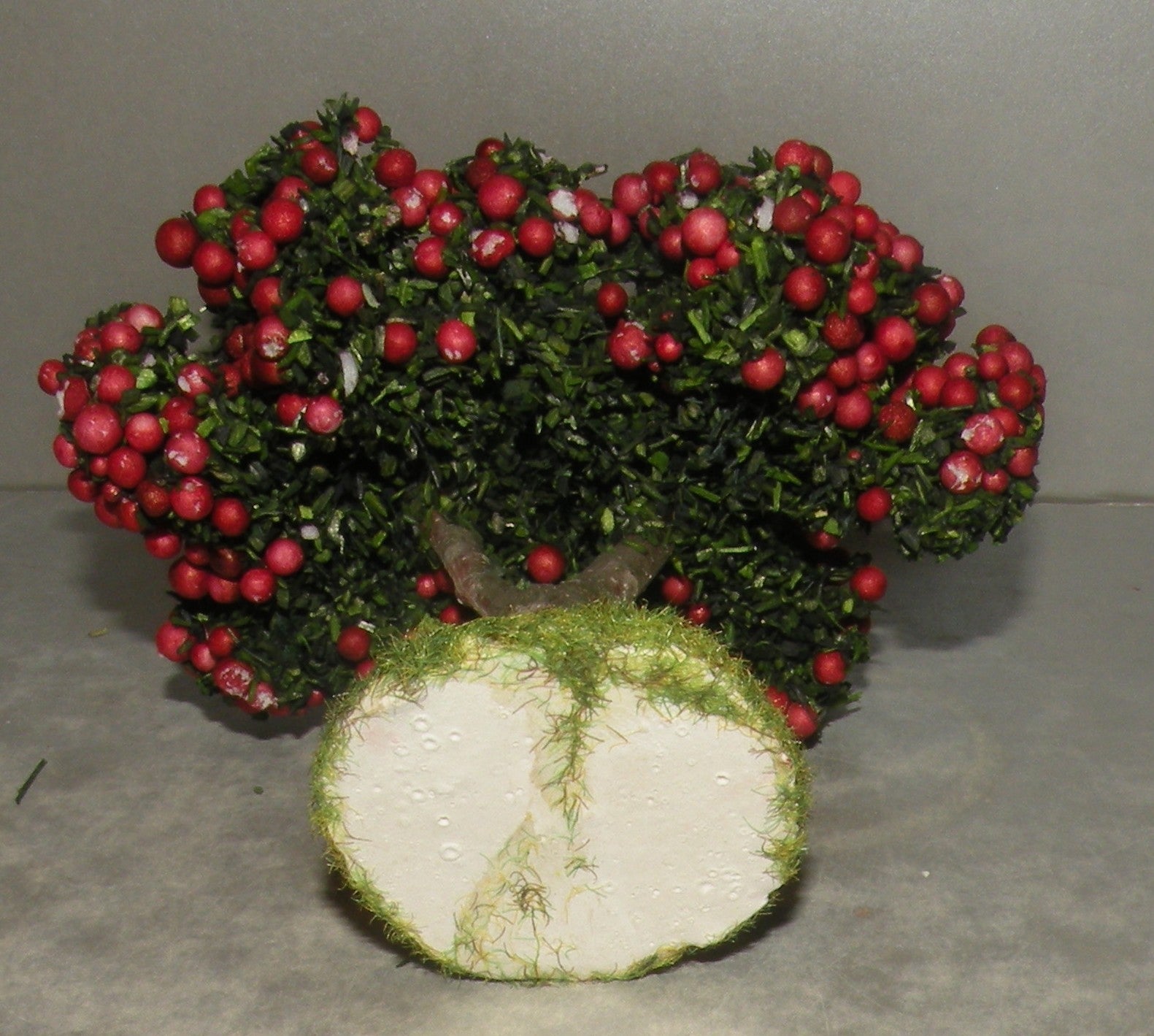 Apple Tree , Didier 6-7 Cm