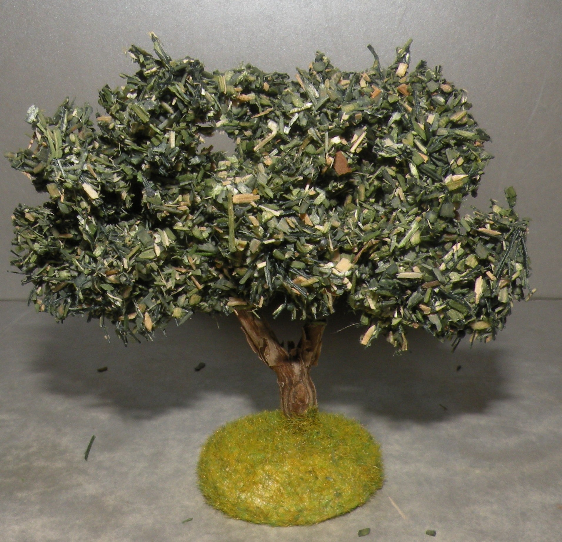 Olive Tree Didier , 4 Cm