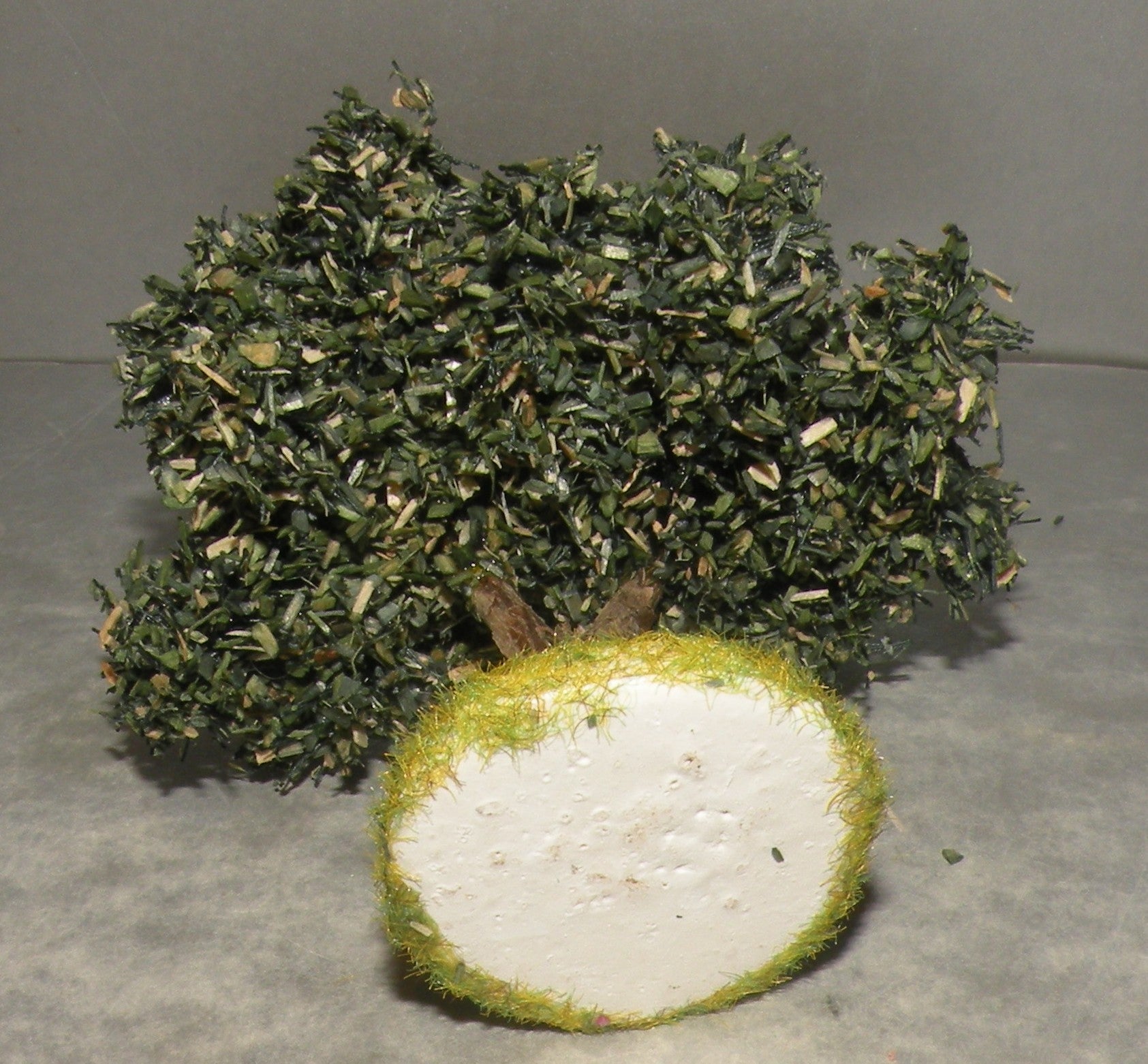 Olive Tree Didier , 4 Cm