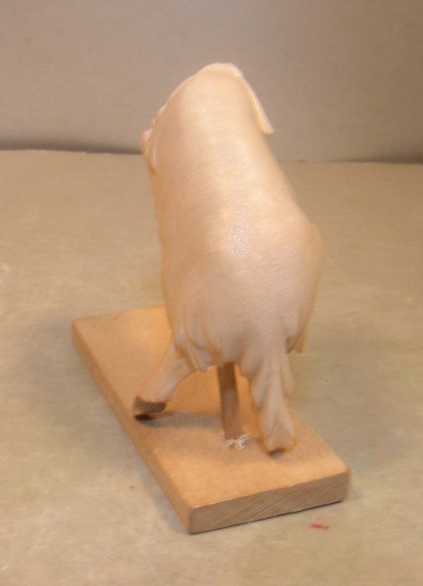 Lamb Jumping for joy, 10000 -27 - Gloria