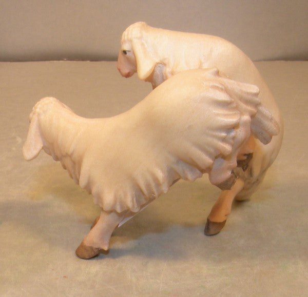 Lambs jumping for joy, 10000-28 - Gloria