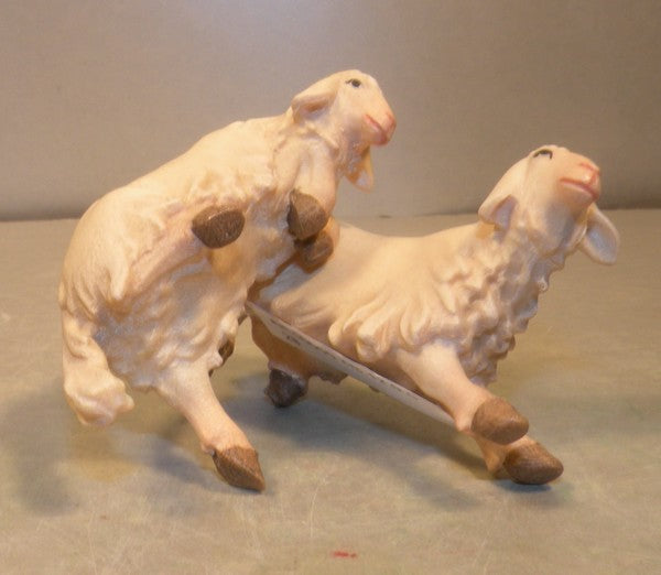 Lambs jumping for joy, 10000-28 - Gloria
