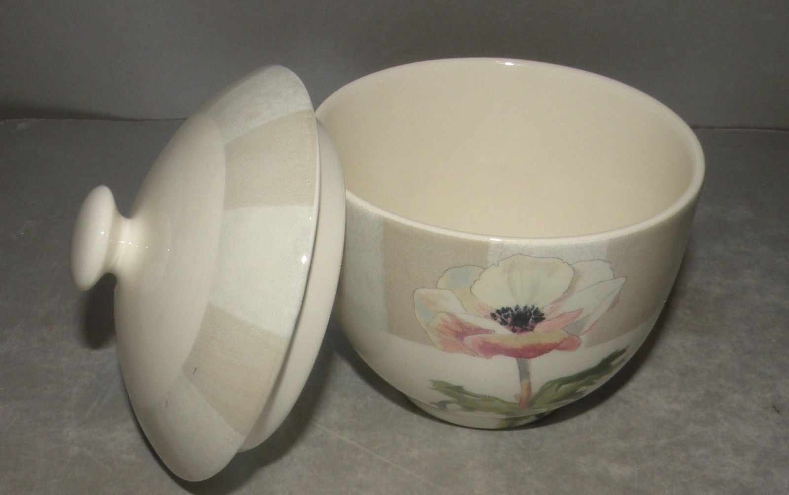 Covered Sugar Bowl Anemones