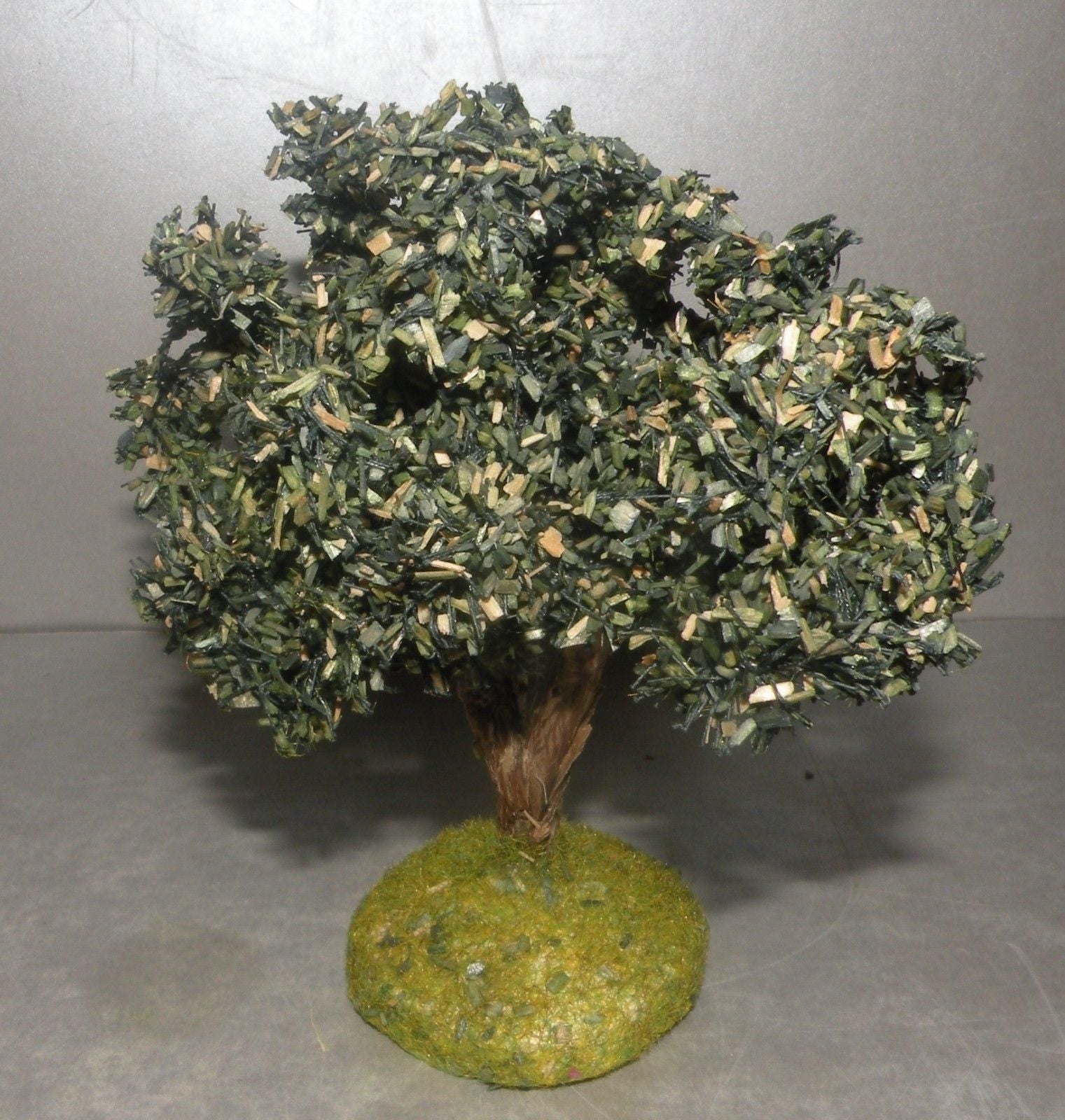 Olive Tree  Didier , 7 - 6 Cm