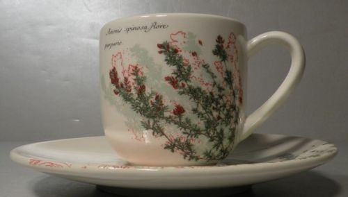 Expresso Cup & Saucer Anonis Herbier du Roy