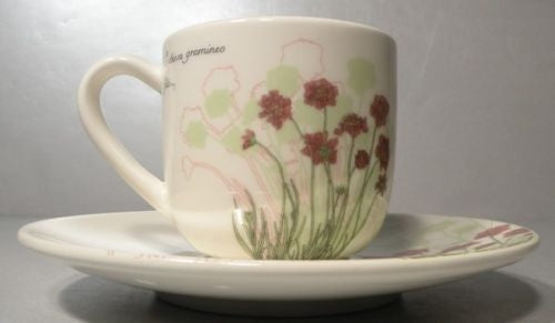 Expresso Cup & Saucer Scabiosa Herbier du Roy