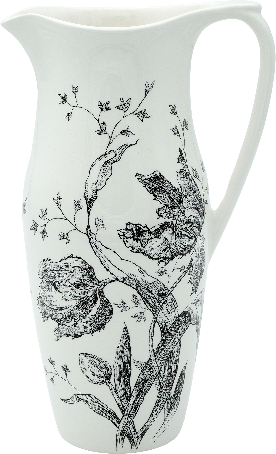 Pitcher , Tulipes Noires