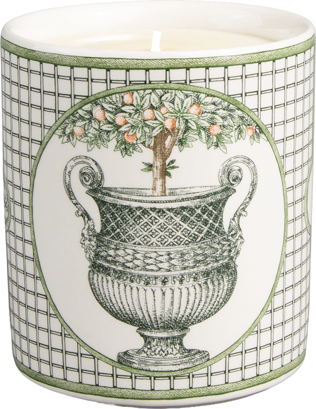 Scented Candle, Promenade dans l’Orangeraie (Fleur d’orange ) , Les Vases a Oranger