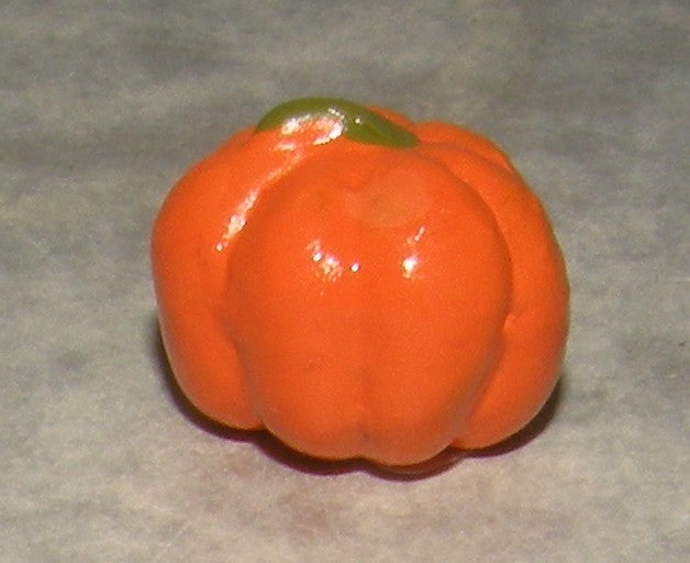 squash, ( 802 )  Fouque, 9 cm