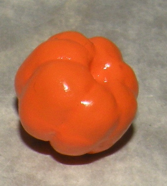 squash, ( 802 )  Fouque, 9 cm