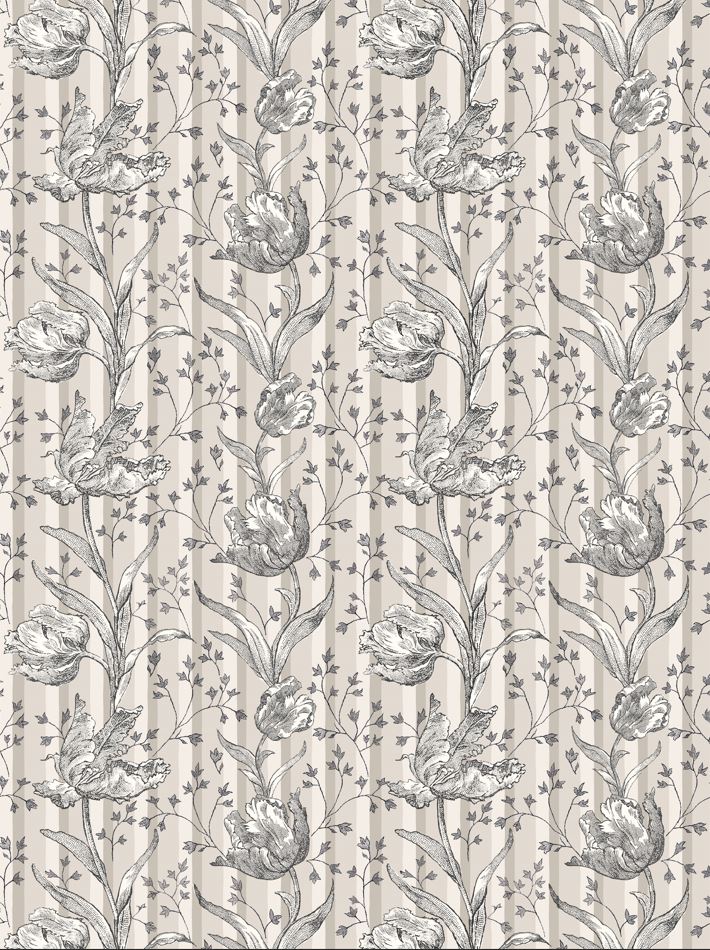 Wallpaper Tulipes Beige ,  Tulipes Noires