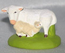 Sheep lactating her lamb, Didier, 6-7 cm
