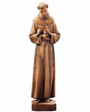 St-Francis of Assisi, 10035-A, Lepi