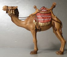 Camel, Gloria