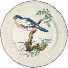Dinner Plate Parrot, Grands Oiseaux
