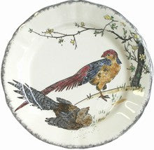Dinner Plate Golden Pheasant, Grands Oiseaux