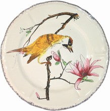 Dinner Plate Woodpecker, Grands Oiseaux