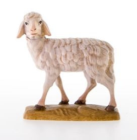 Sheep ( 21000 ) , Rupert