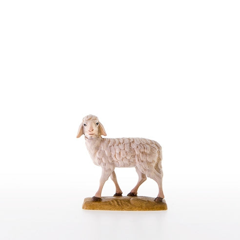Sheep ( 21000 ) , Reindl