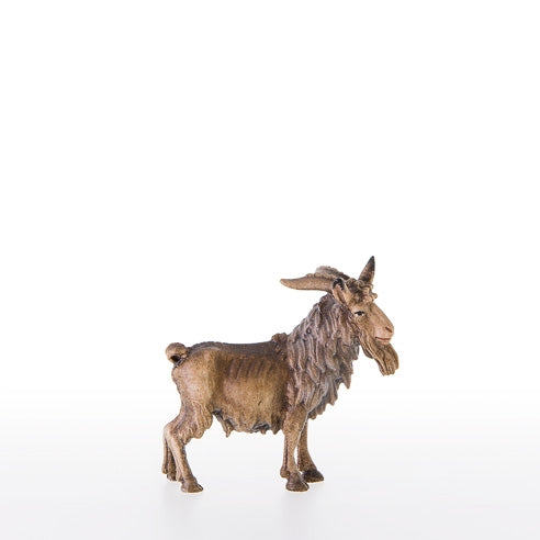 He-Goat - Oriental nativity dressed - 21378