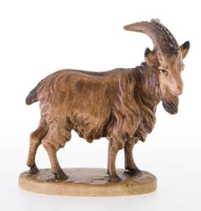 He-Goat ( 21379 ) , Rupert