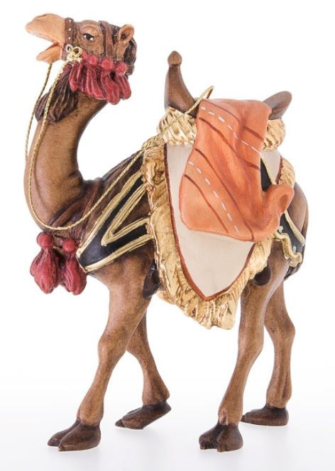 Camel ( 24021 ) , Rupert