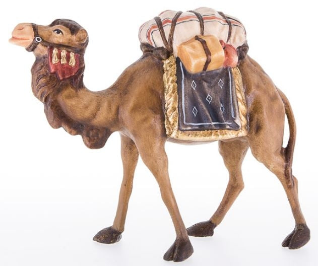 Camel ( 24020 ) , Rupert