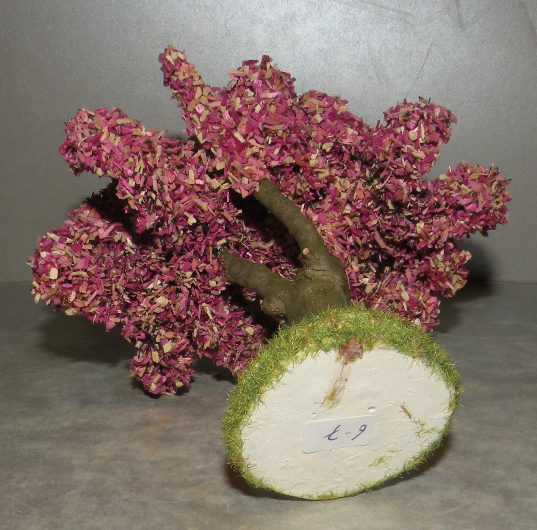 Almond Tree in Flowers , Didier 7 - 6 Cm