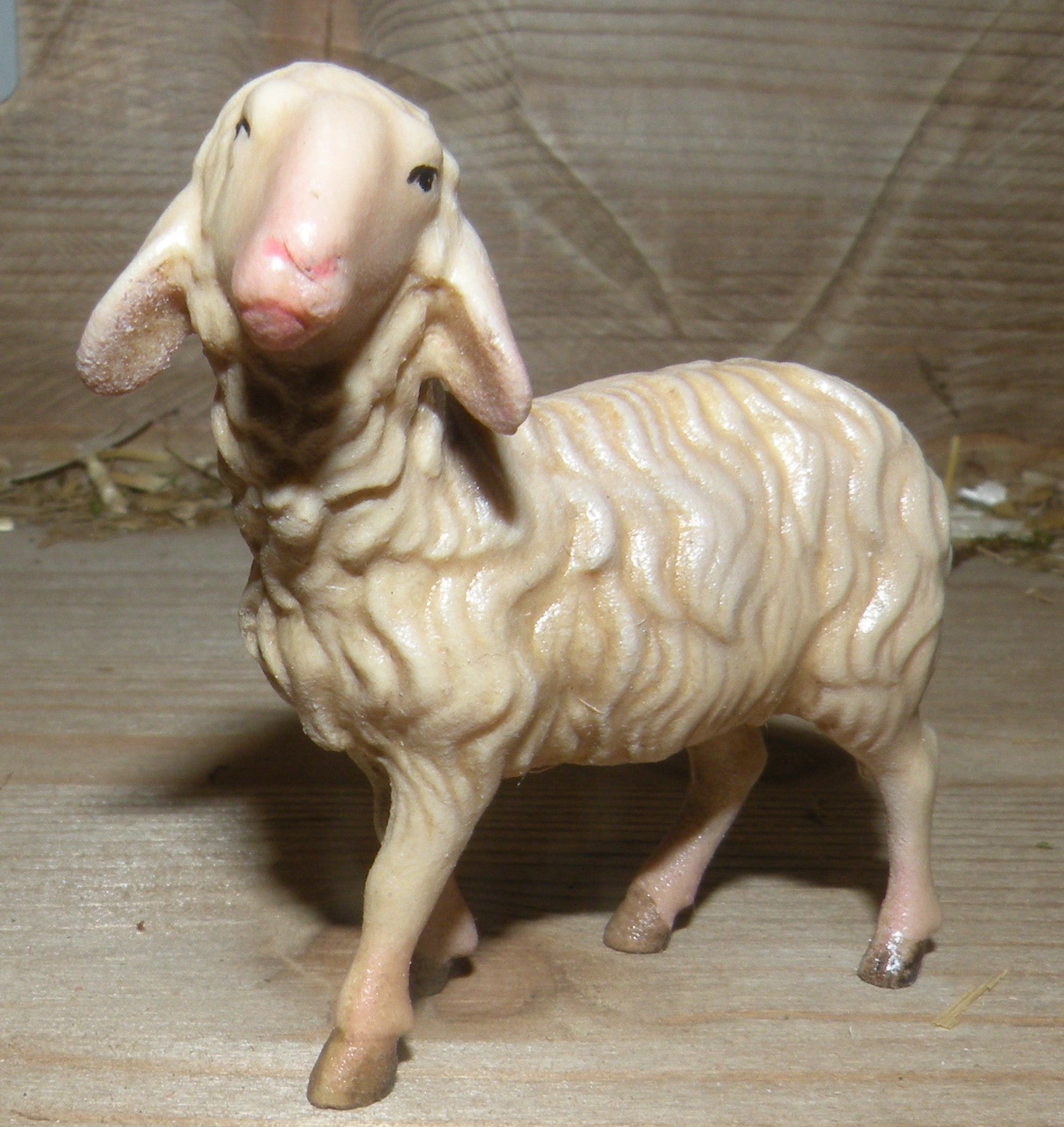 Sheep standing ( 21205-A ),  Nazarene