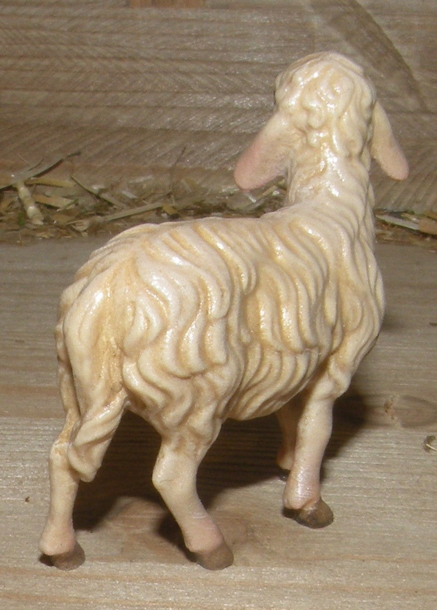 Sheep standing ( 21205-A ),  Nazarene