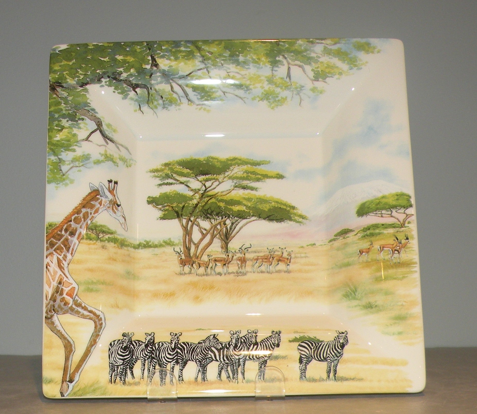 Extra Large Square Candy Tray, Safari