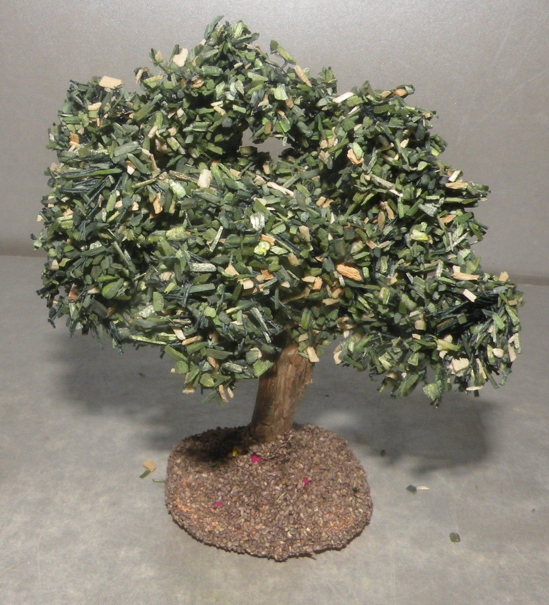 Olive Tree  Fouque 2 Cm