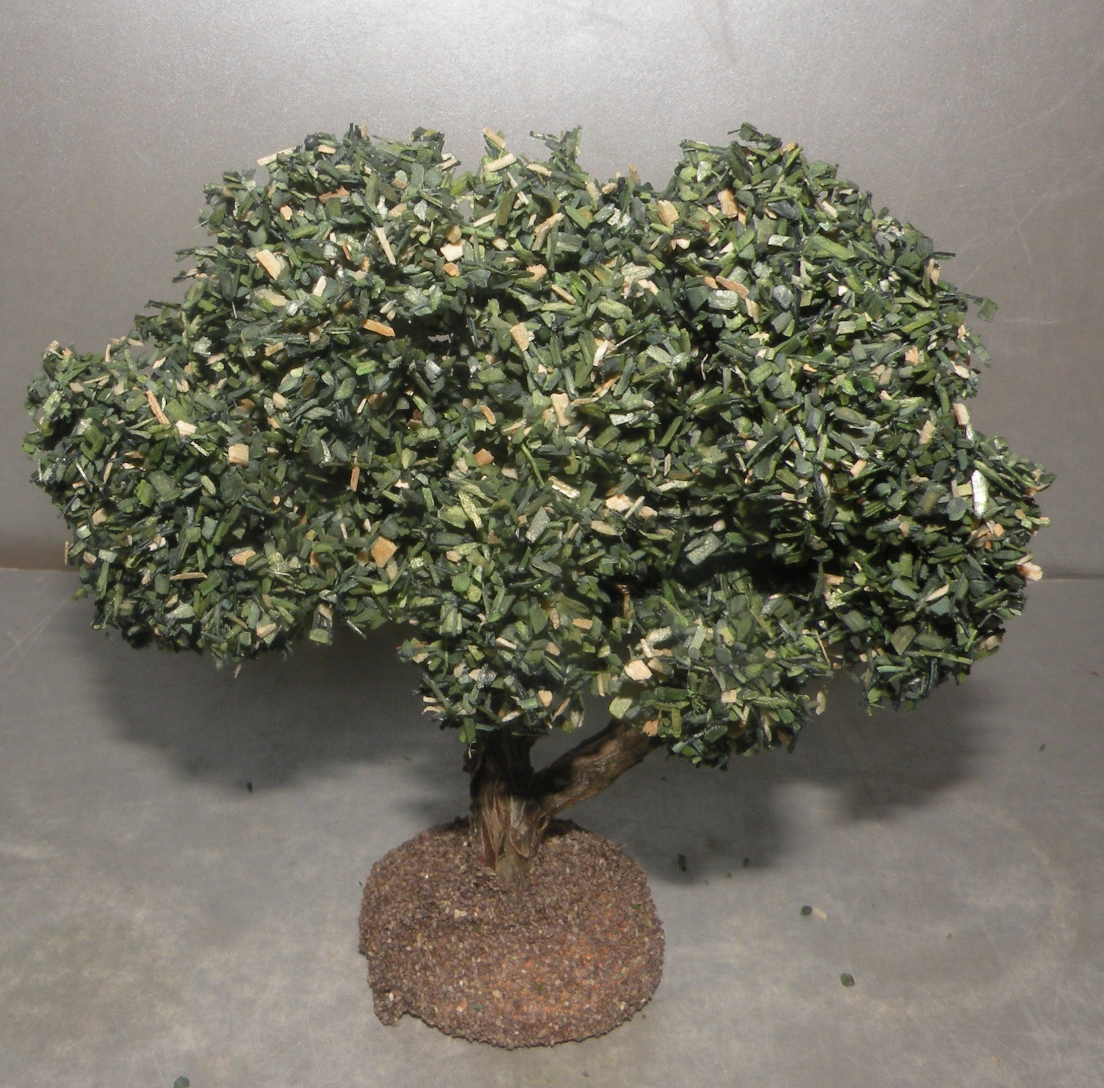Olive Tree, Fouque, 4 cm