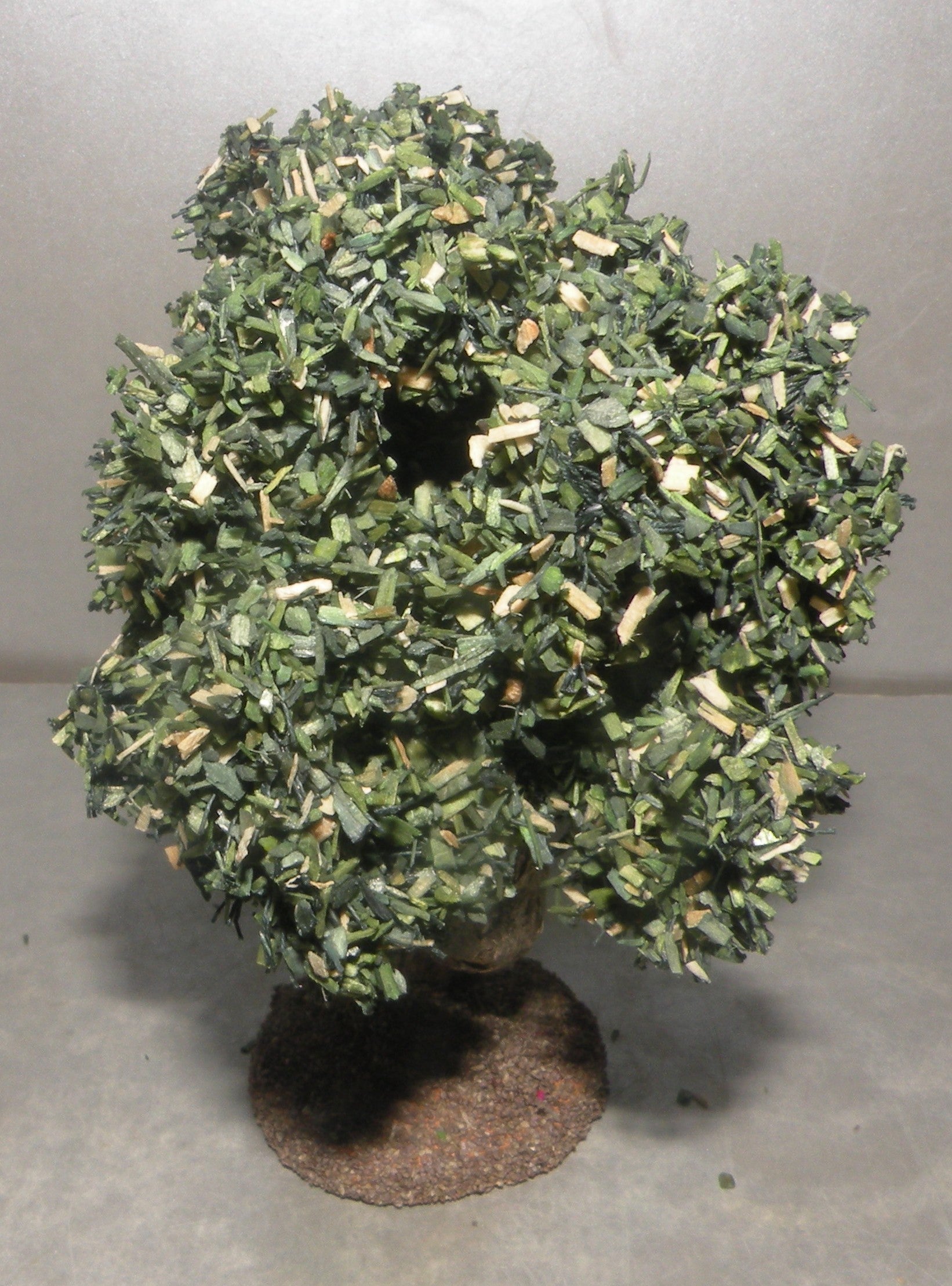 Olive Tree, Fouque, 4 cm