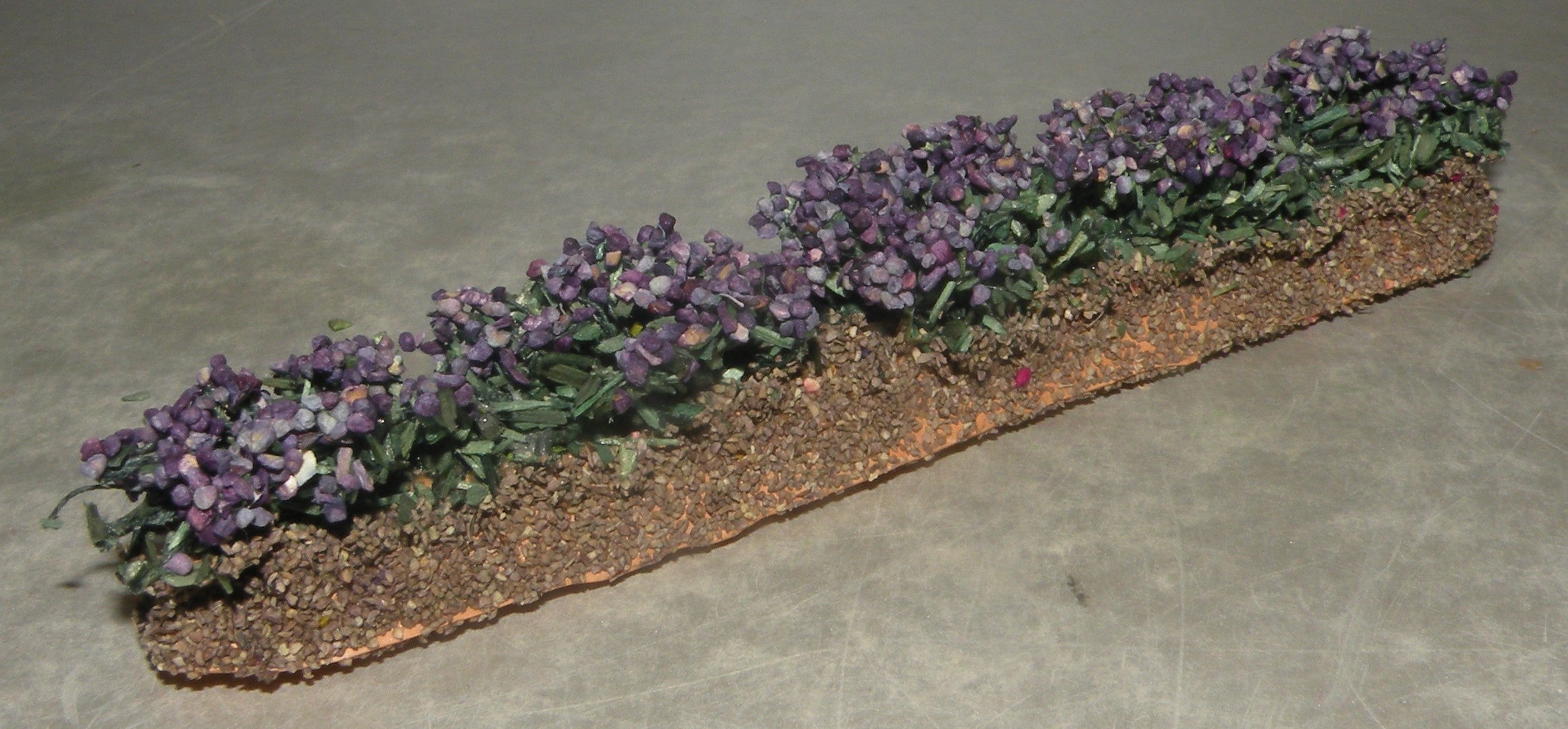 Row of Lavender, Fouque, 6 Cm or 4 Cm