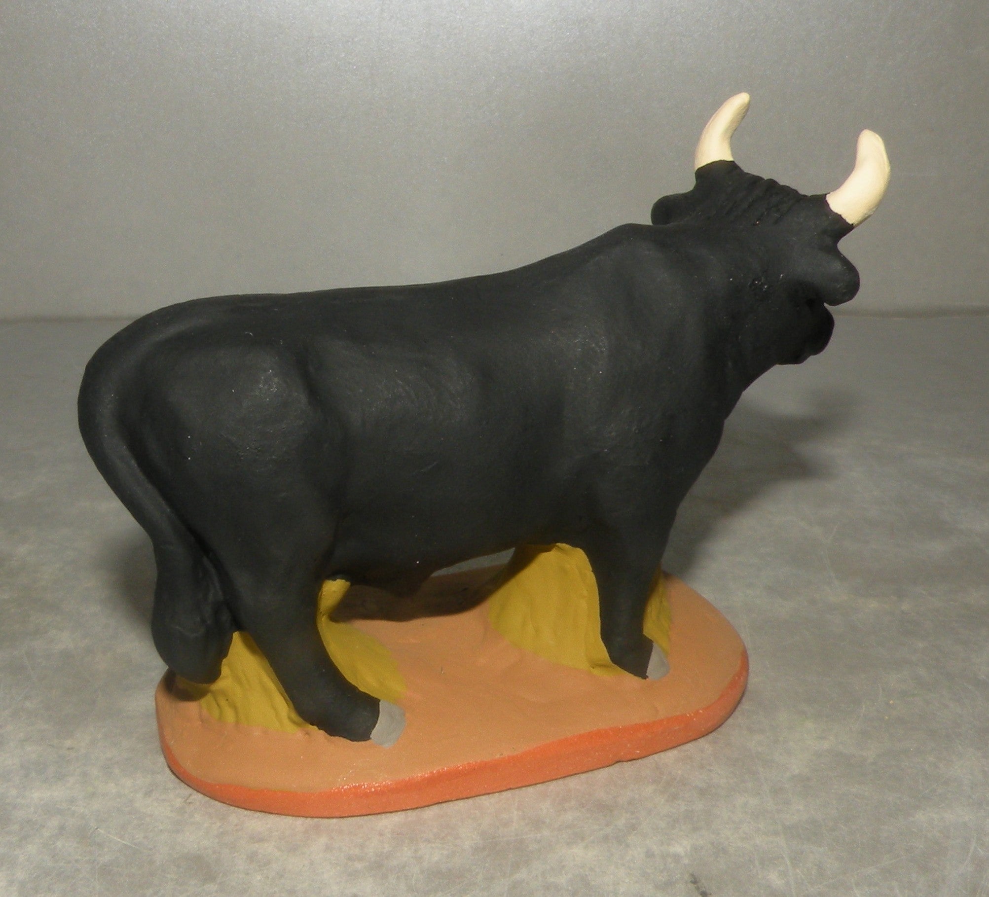 Bull head straight  Fouque 6 Cm