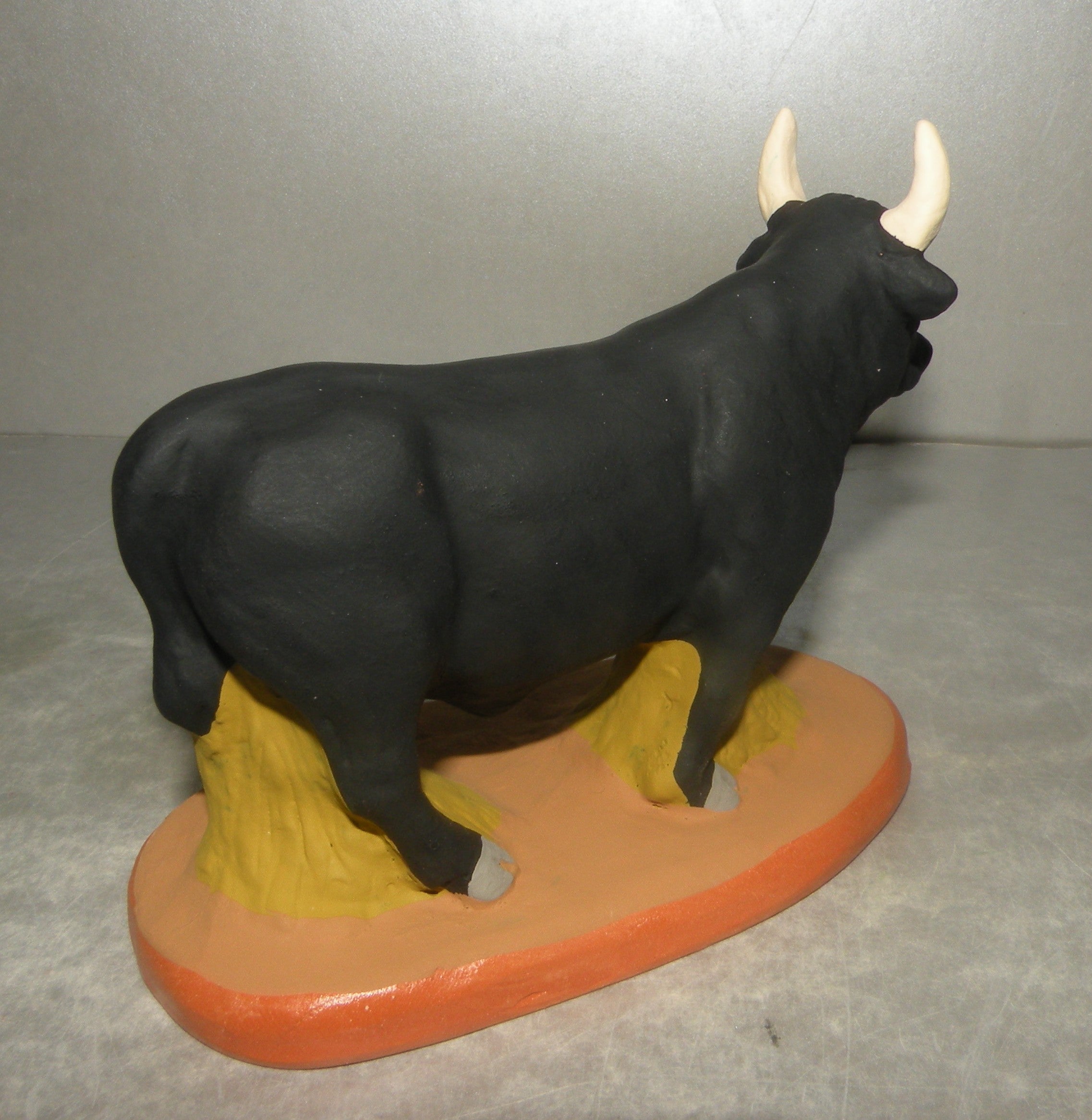 Bull head straight  Fouque 9 Cm