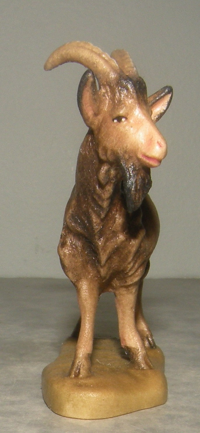 Goat  ( 21300 ) ,   Rustic