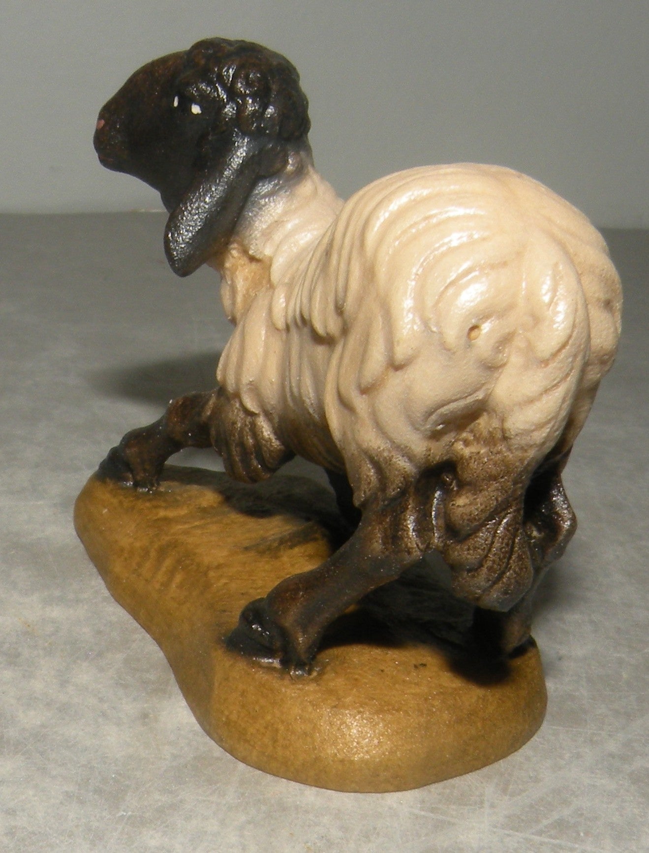 Sheep Black Head   ( 21209 )  ,  Giner