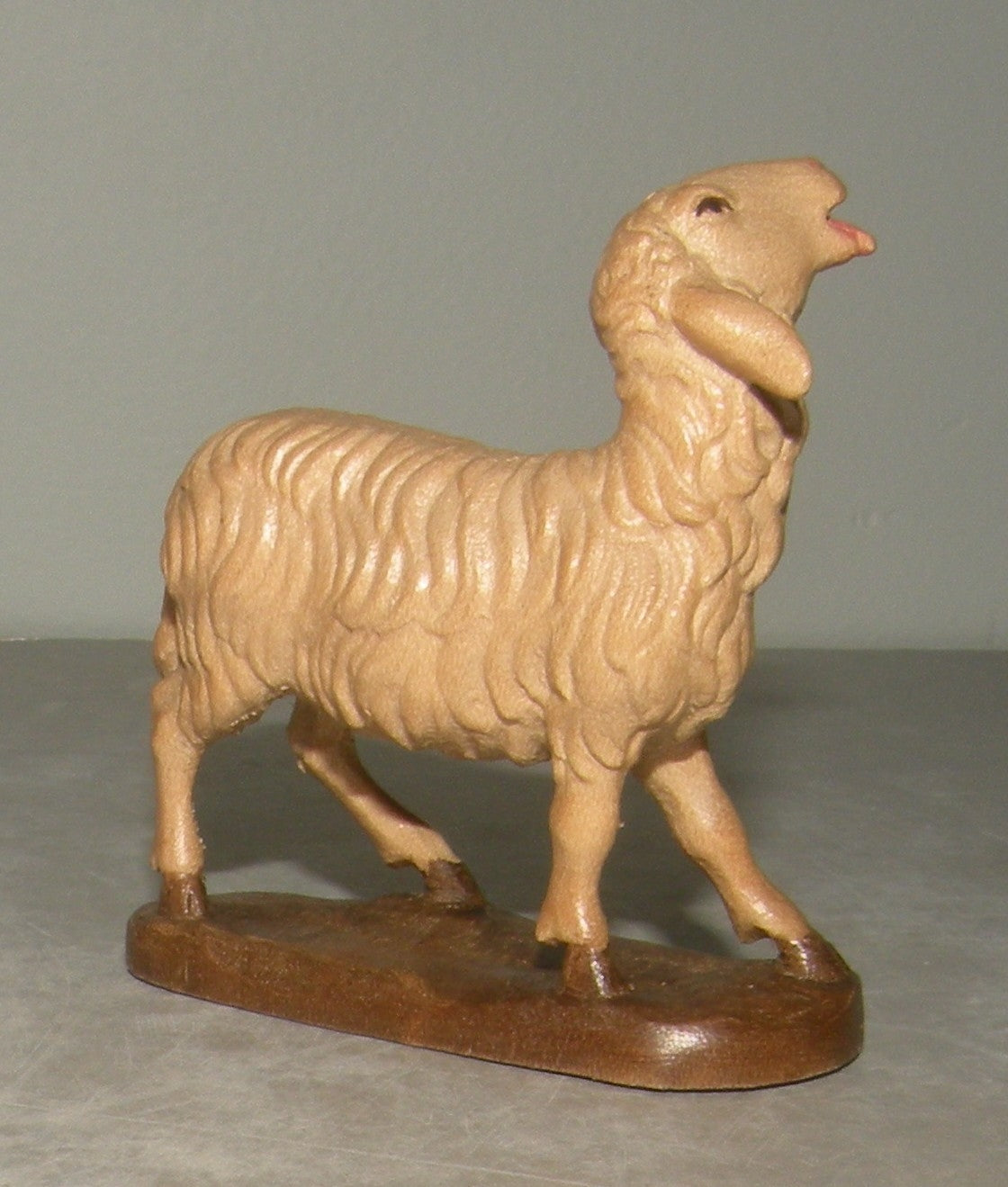 sheep looking up - 21203 , Rustic ZF Finish
