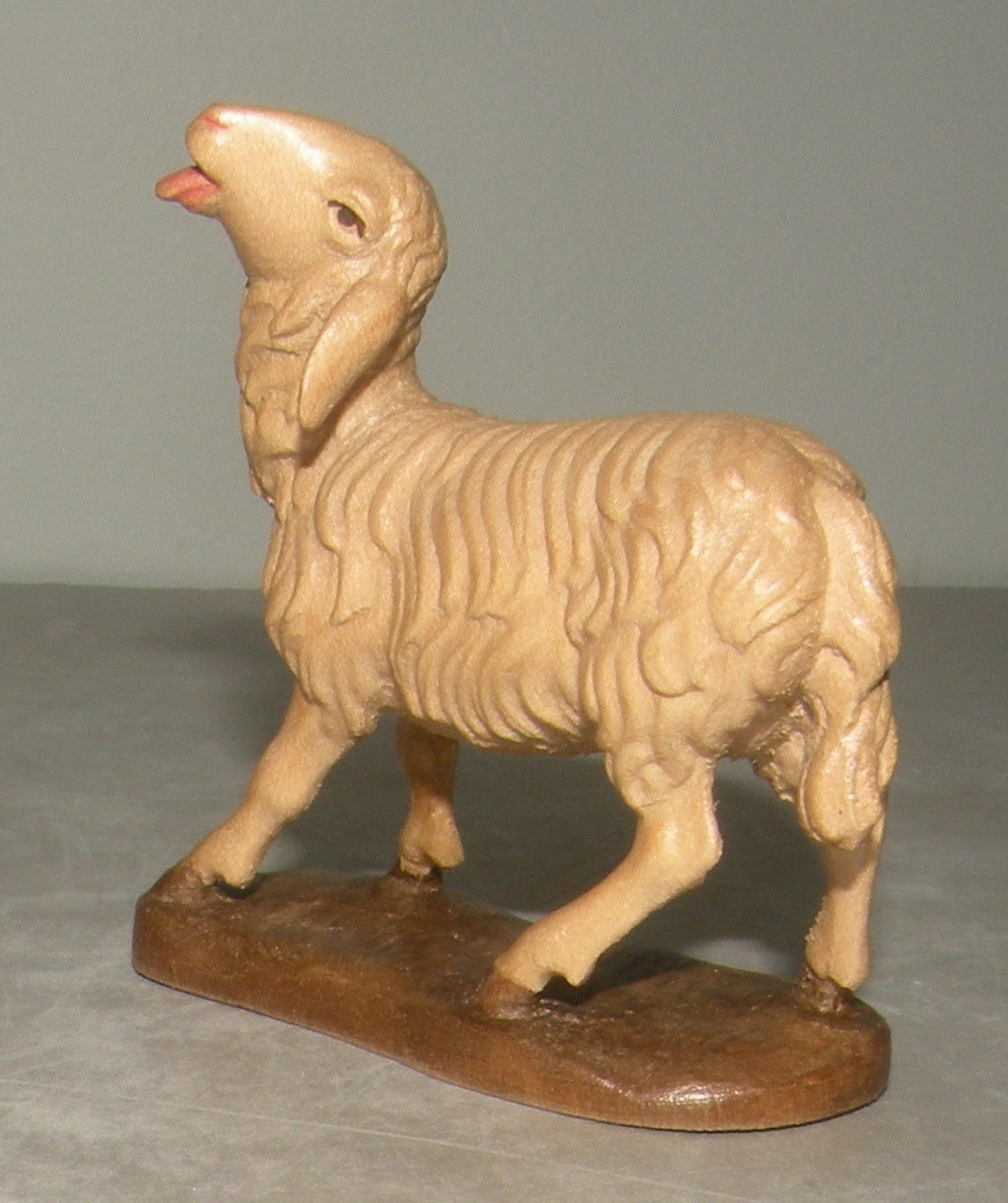 sheep looking up - 21203 , Rustic ZF Finish