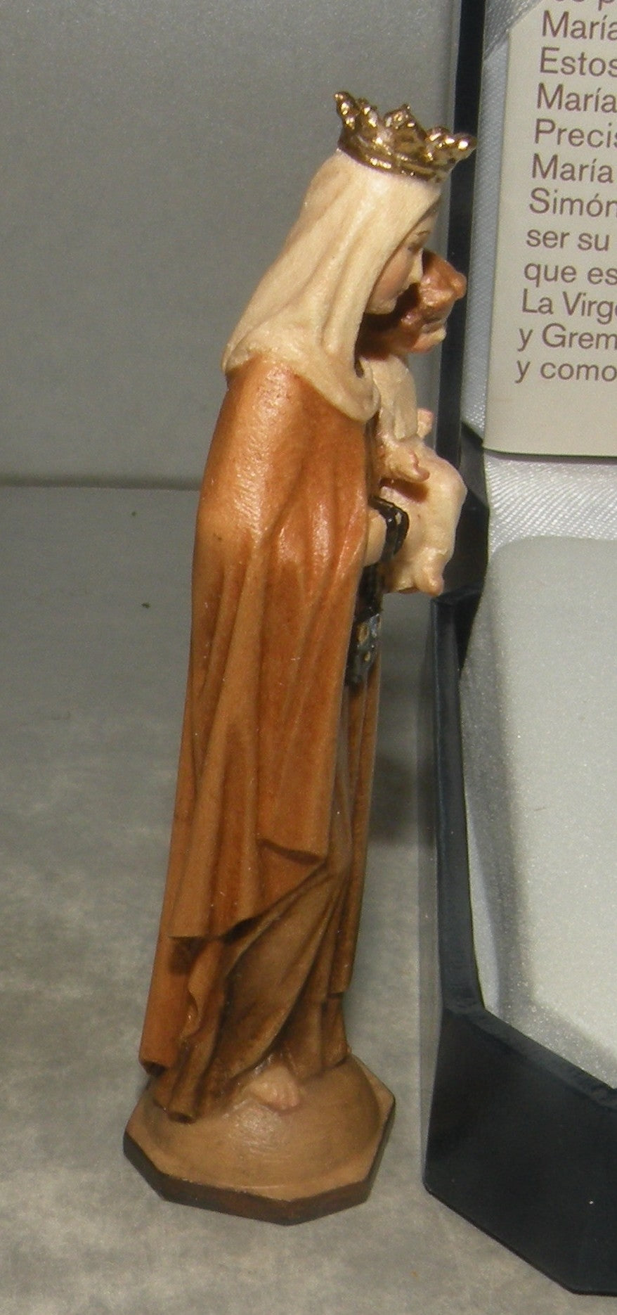 Virgin of the Carmel's mount with Case ( 10371 ), Lepi